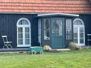 Ferienhaus Sommerhaus Julin Saal